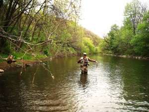 Dry fly water on the lower j (2)