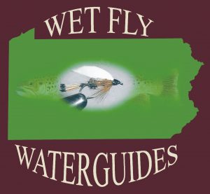 wetfly Logo